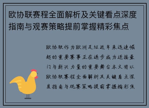 欧协联赛程全面解析及关键看点深度指南与观赛策略提前掌握精彩焦点